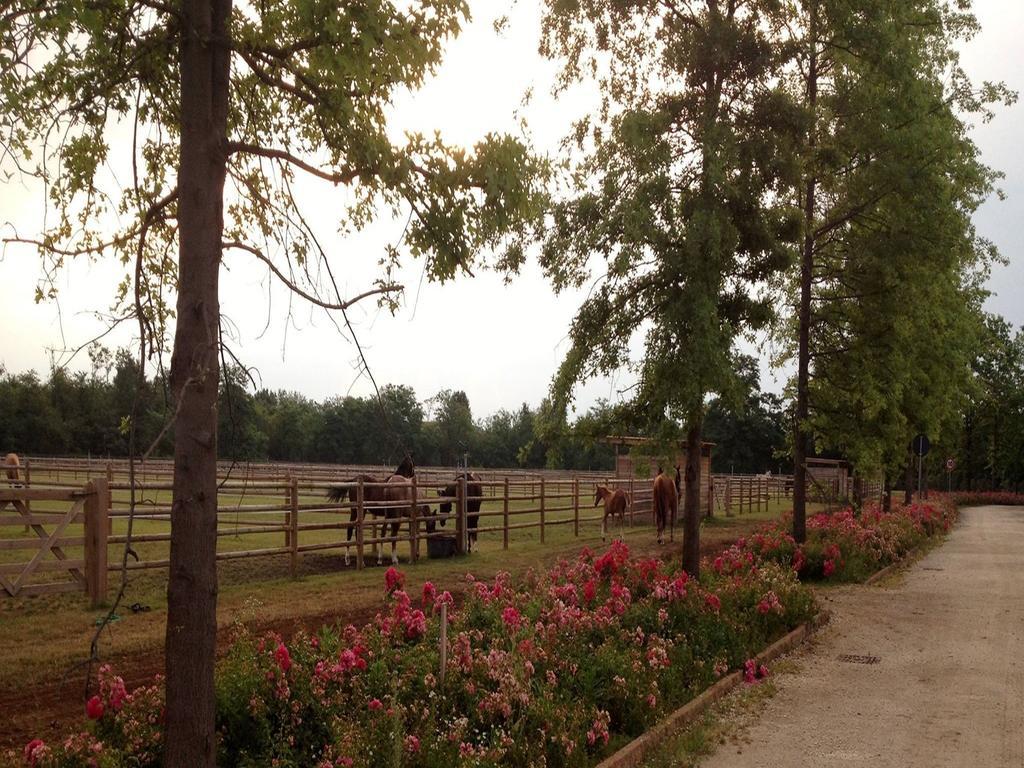 Agriturismo Il Boschetto オルナーゴ エクステリア 写真
